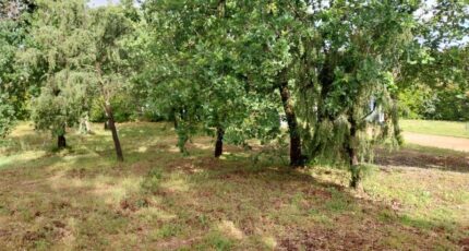 Le Cannet-des-Maures Maison neuve - 2510483-11157annonce220260514kooUD.jpeg Maisons France Confort