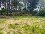 Terrain à bâtir à Peynier (13790) 2511085-11677annonce120260515Z37gs.jpeg Maisons France Confort