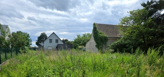 Terrain à bâtir à , Haut-Rhin
