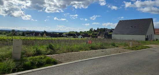 Terrain à bâtir à , Haut-Rhin