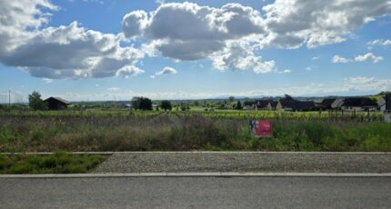 Beblenheim Terrain à bâtir - 2510989-11877annonce320260515nfsQT.jpeg Maisons France Confort