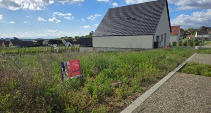 Beblenheim Terrain à bâtir - 2510989-11877annonce520260515F5Tuf.jpeg Maisons France Confort