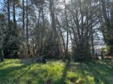 Terrain à bâtir à Lanton (33138) 2454979-11276annonce120260312WgURp.jpeg Maisons France Confort