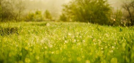 Terrain à bâtir à Mennecy, Île-de-France