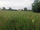 Terrain à bâtir à Peyrignac (24210) 2507118-11235annonce120260512FlXhC.jpeg Maisons France Confort