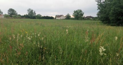 Peyrignac Terrain à bâtir - 2507118-11235annonce120260512FlXhC.jpeg Maisons France Confort