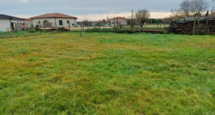 Villebrumier Maison neuve - 2484094-5604annonce120260413uhqd0.jpeg Maisons France Confort