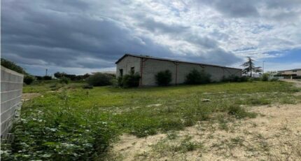 Bize-Minervois Maison neuve - 2429914-10986annonce120251027CENTR.jpeg Maisons France Confort