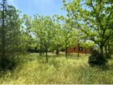 Maison à construire à Villegailhenc (11600) 2482448-10986annonce120260411POkS9.jpeg Maisons France Confort