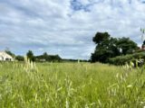 Terrain à bâtir à Domazan (30390) 2512440-3418annonce320260122bS4Os.jpeg Maisons France Confort