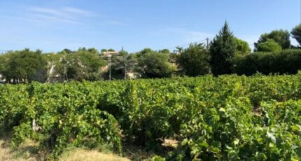Vacqueyras Maison neuve - 2486580-617annonce120260415hc2HH.jpeg Maisons France Confort
