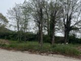 Maison à construire à Albi (81000) 2509307-2684annonce120260513Fm9uZ.jpeg Maisons France Confort