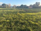 Terrain à bâtir à Pompignan (82170) 2511381-11356annonce420260515vuhNC.jpeg Maisons France Confort