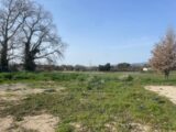 Terrain à bâtir à Alleins (13980) 2513008-3969annonce420260518Pbxs1.jpeg Maisons France Confort