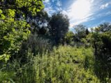 Terrain à bâtir à Draguignan (83300) 2513094-4529annonce420260518gpMKp.jpeg Maisons France Confort