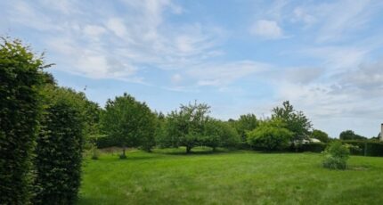 Lagraulière Terrain à bâtir - 2513192-11302annonce1202605185Fyqx.jpeg Maisons France Confort