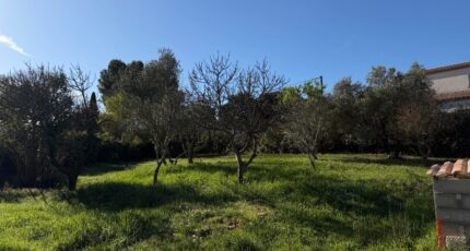 Sussargues Maison neuve - 2513273-11455annonce120260518KLiA9.jpeg Maisons France Confort