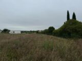 Terrain à bâtir à Lauret (34270) 2513279-11455annonce120260518JJvXB.jpeg Maisons France Confort