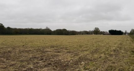 Labatut Terrain à bâtir - 2513326-11685annonce120260518rJERu.jpeg Maisons France Confort