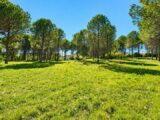Maison à construire à Roquebrune-sur-Argens (83520) 2513353-10152annonce120260518czBAt.jpeg Maisons France Confort