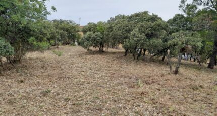 Villeneuve-lès-Avignon Maison neuve - 2513966-695annonce120260519PBKKN.jpeg Maisons France Confort