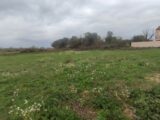 Terrain à bâtir à Salles-d’Aude (11110) 2513884-11782annonce12026051942Z9i.jpeg Maisons France Confort