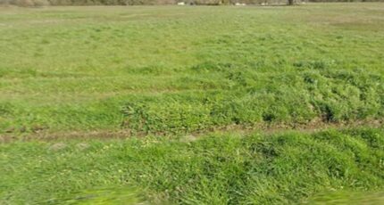 Saint-Savin Maison neuve - 2514077-11516annonce120260519eg02y.jpeg Maisons France Confort