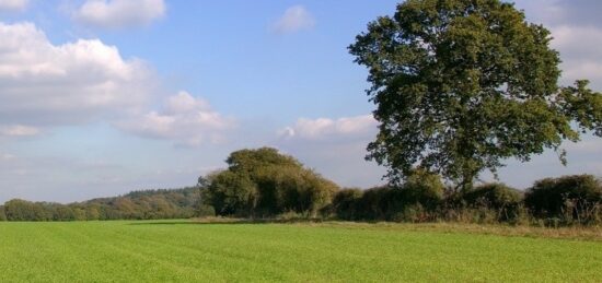 Terrain à bâtir à Saint-Léger-en-Yvelines, Île-de-France