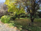 Maison à construire à Villiers-Saint-Frédéric (78640) 2432022-10686annonce120251028G1DiH.jpeg Maisons France Confort