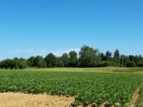 Maison à construire à Boullay-les-Troux (91470) 2459315-10686annonce120251124AJ1IB.jpeg Maisons France Confort