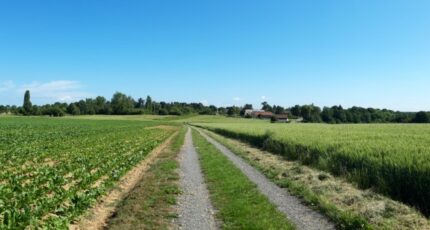 Boullay-les-Troux Maison neuve - 2459315-10686annonce320251124qNgNm.jpeg Maisons France Confort