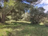 Terrain à bâtir à Aix-en-Provence (13090) 2429975-11680annonce22026021669u5Z.jpeg Maisons France Confort