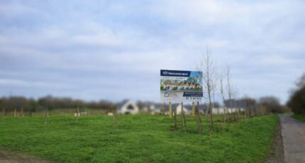 Douvres-la-Délivrande Terrain à bâtir - 2514789-4402annonce120260519BcyrU.jpeg Maisons France Confort