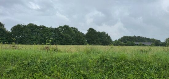 Terrain à bâtir à Cossé-le-Vivien, Pays de la Loire