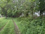 Maison à construire à Cossé-le-Vivien (53230) 2511330-11827annonce220260515Fro2b.jpeg Maisons France Confort