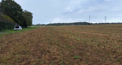 Longueil-Sainte-Marie Maison neuve - 2514223-4496annonce120260519efuvs.jpeg Maisons France Confort