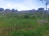 Maison à construire à Lespinasse (31150) 2513100-5202annonce120260518pfzS2.jpeg Maisons France Confort