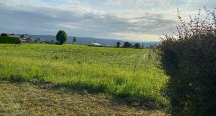 Boeil-Bezing Terrain à bâtir - 2515084-10558annonce220260520CqV73.jpeg Maisons France Confort