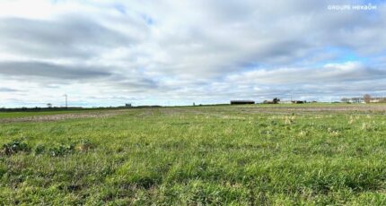 Angliers Maison neuve - 2515550-9644annonce320260520BwV7y.jpeg Maisons France Confort