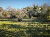 Terrain à bâtir à Brignoles (83170) 2515680-11039annonce120260520iU0mC.jpeg Maisons France Confort