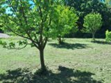 Terrain à bâtir à Martigues (13500) 2516144-7054annonce420260520JXTtg.jpeg Maisons France Confort