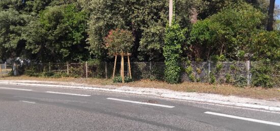 Terrain à bâtir à Soulac-sur-Mer, Nouvelle-Aquitaine
