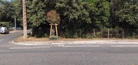 Terrain à bâtir à , Gironde