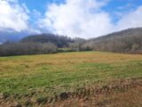 Terrain à bâtir à Loubressac (46130) 2516386-6976annonce3202502272nqwT.jpeg Maisons France Confort