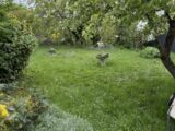 Maison à construire à Solesmes (59730) 2516359-7246annonce1202512150g6yn.jpeg Maisons France Confort