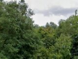 Maison à construire à Courcelles-lès-Lens (62970) 2516056-1215annonce120260520BTthm.jpeg Maisons France Confort