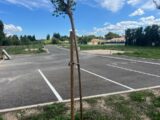Terrain à bâtir à Sénas (13560) 2516915-11073annonce220260521IMxuz.jpeg Maisons France Confort