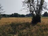 Terrain à bâtir à Cussac-Fort-Médoc (33460) 2516953-11260annonce120260521HIBN8.jpeg Maisons France Confort