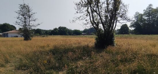 Terrain à bâtir à Cussac-Fort-Médoc, Nouvelle-Aquitaine