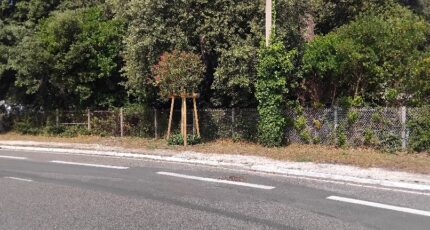 Soulac-sur-Mer Maison neuve - 2517416-11260annonce120260520vu09Q.jpeg Maisons France Confort